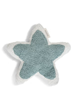 FAV 43 - Star Mint cushion